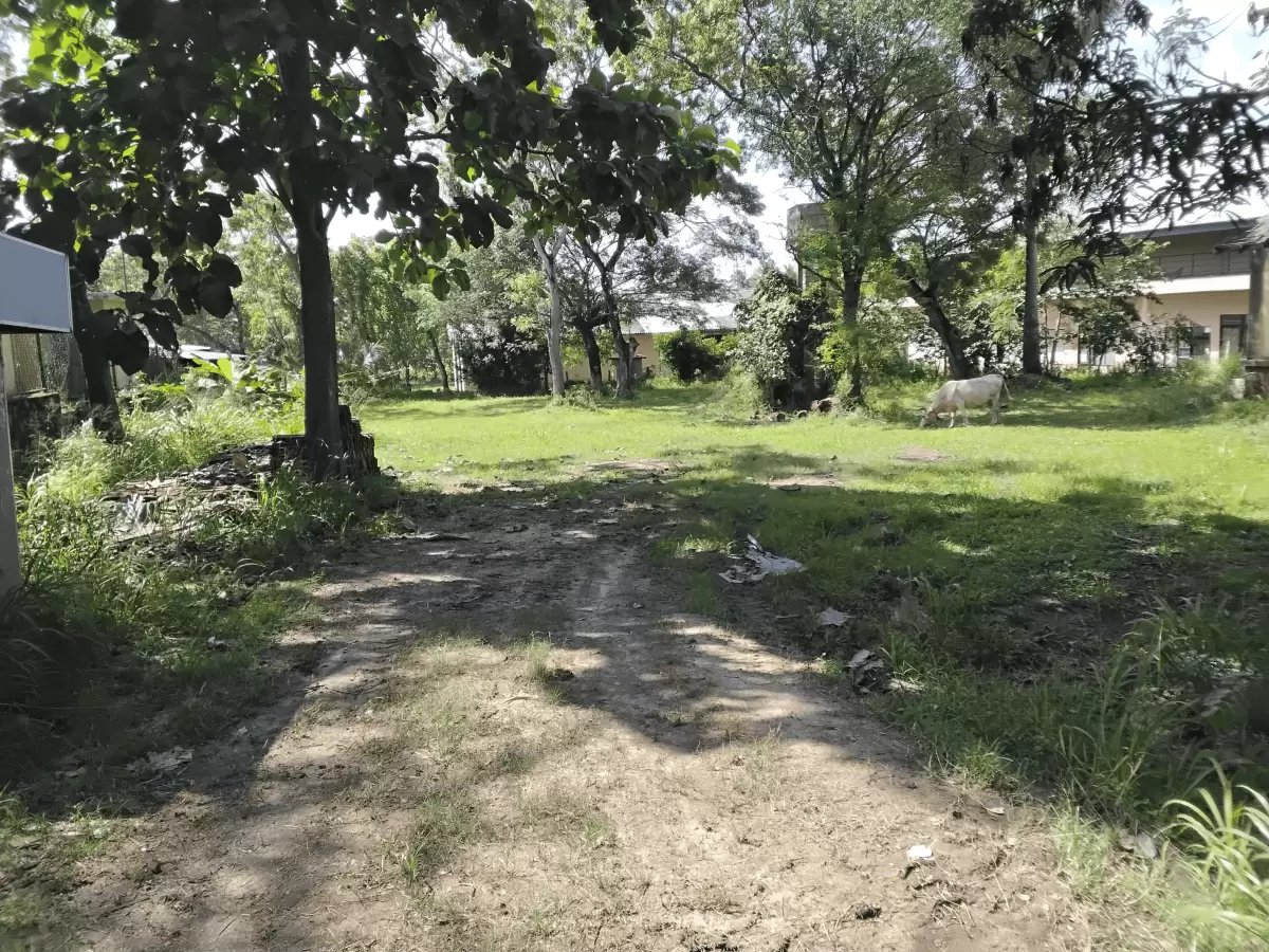Empty Land Mahawa - Image 2