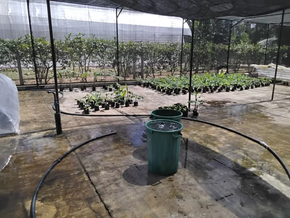 Tissue Culture Lab